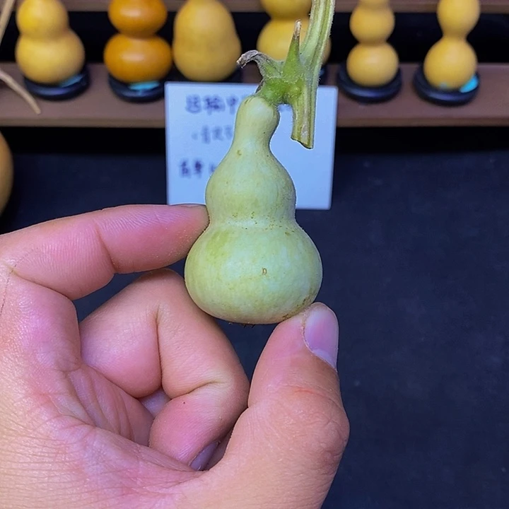 9**7哈哈哈哈哈哈哈哈哈