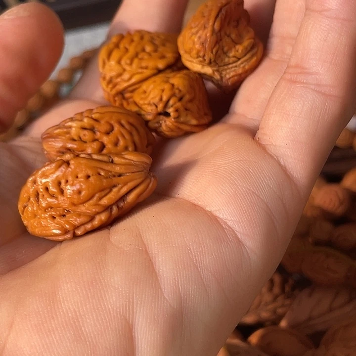 那***年碧桃核异形5颗三棱