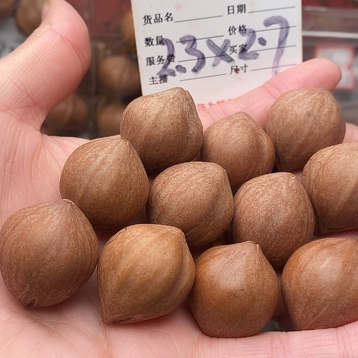 手串/手链橄榄核曾**过