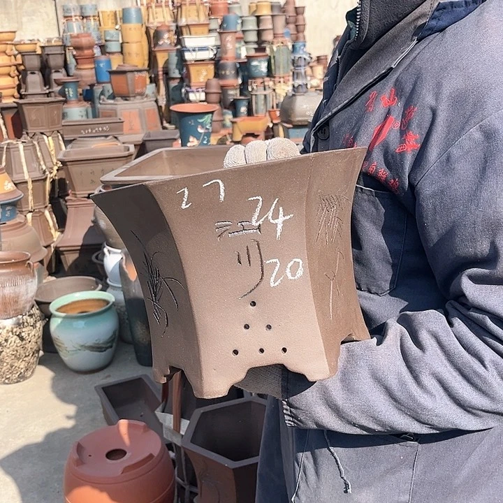 紫砂紫砂花盆和花盆里藏