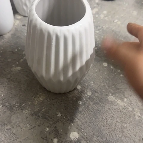 海***亮瓷片瑕疵20厘米2个白胖