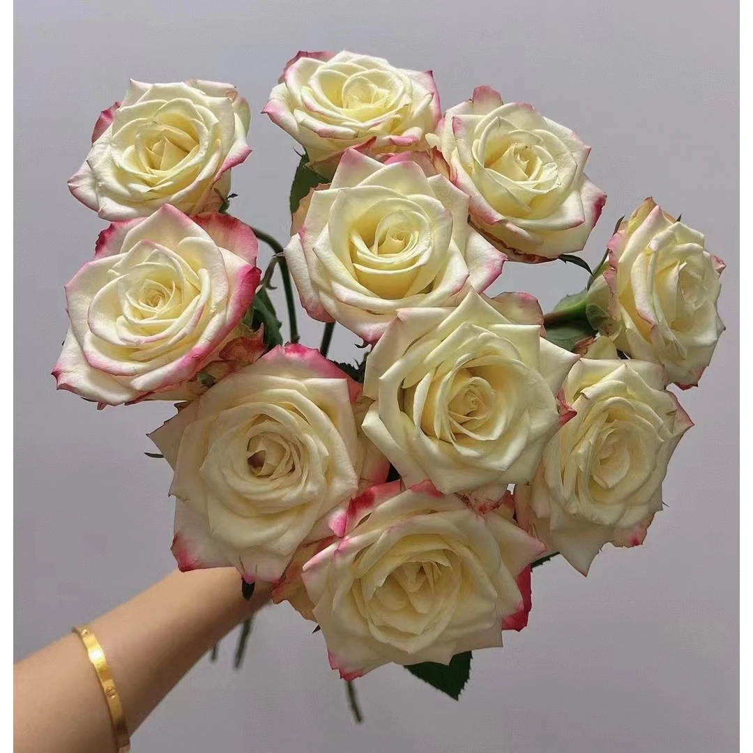 套餐22方德品牌小头艾莉森10支+绿石竹花5支+白色单瓣紫罗兰一把