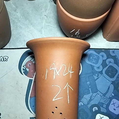 大红兰花两个花盆
