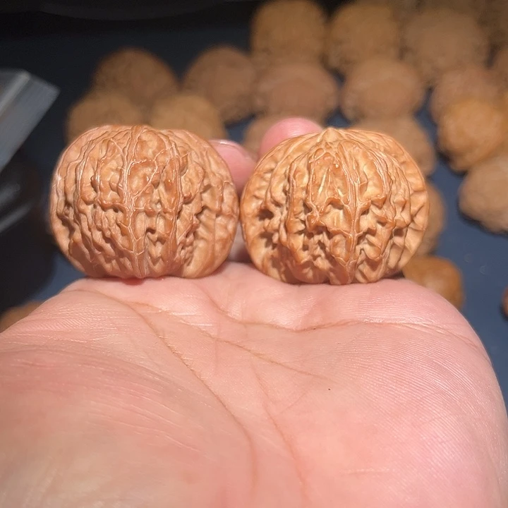 山***～木43磨盘。