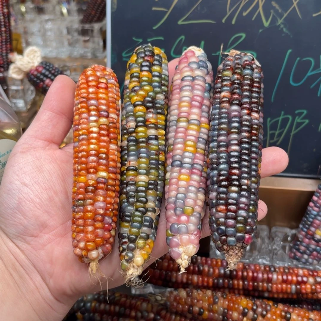 柏香籽/百香籽吊坠叶*