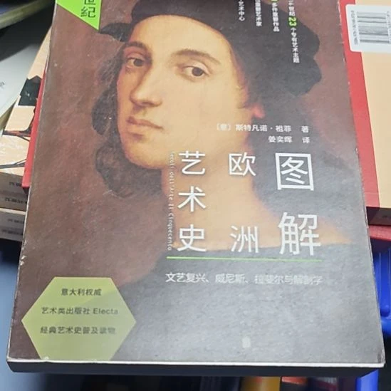 图解欧洲艺术史书衣微瑕（务必塑封）
