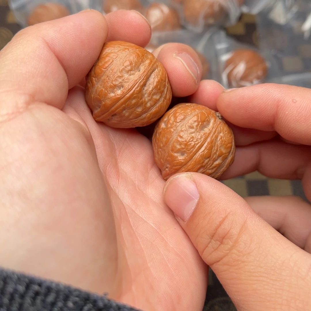 文玩核桃把件18000000000