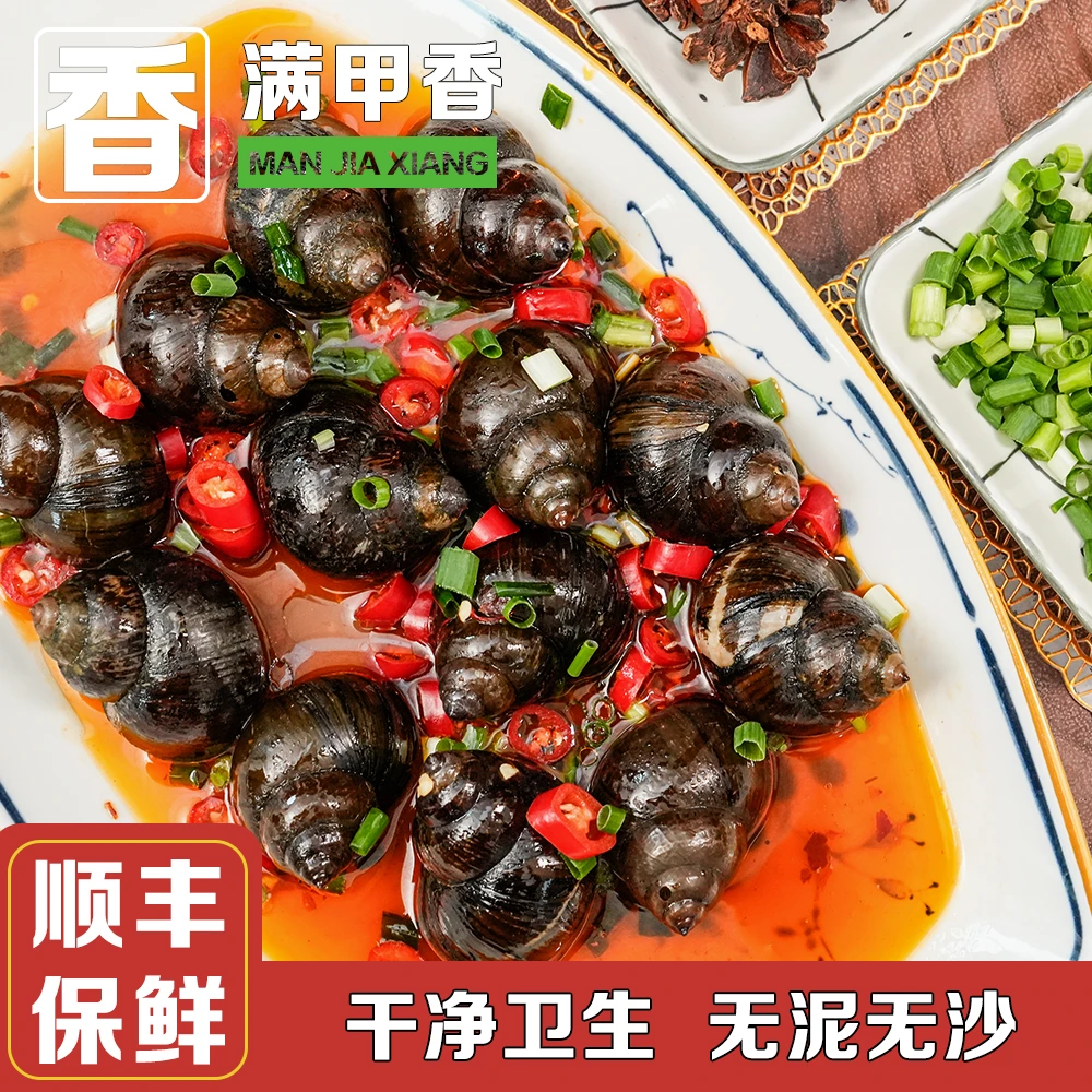 满甲香【顺丰】麻辣大田螺香香辣辣超好吃精选大号田螺开袋即食美味