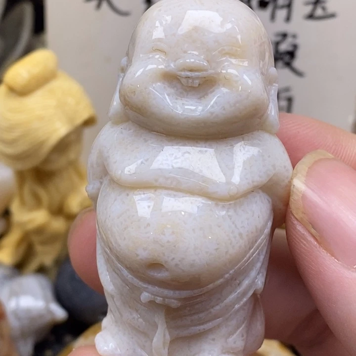 硅化珊瑚（珊瑚玉）未镶嵌颈饰