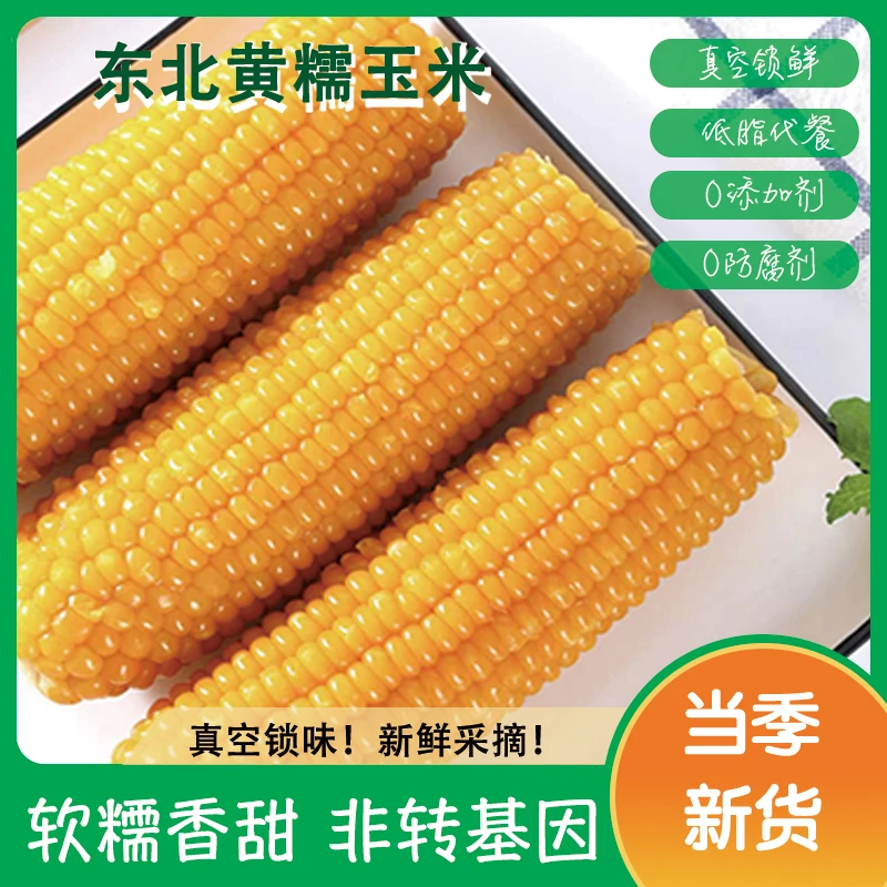 【试吃2根】正宗东北黄糯玉米10大根/箱 真空包装香甜软糯粗粮代餐