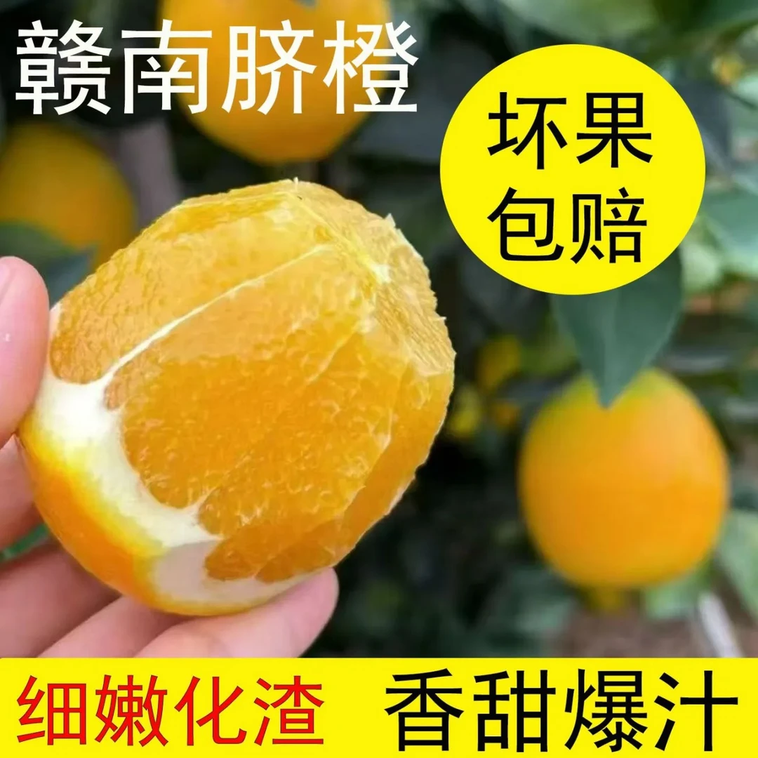 正宗赣南脐橙产地直发新鲜现摘脐橙香甜多汁水果现摘现发坏果包赔