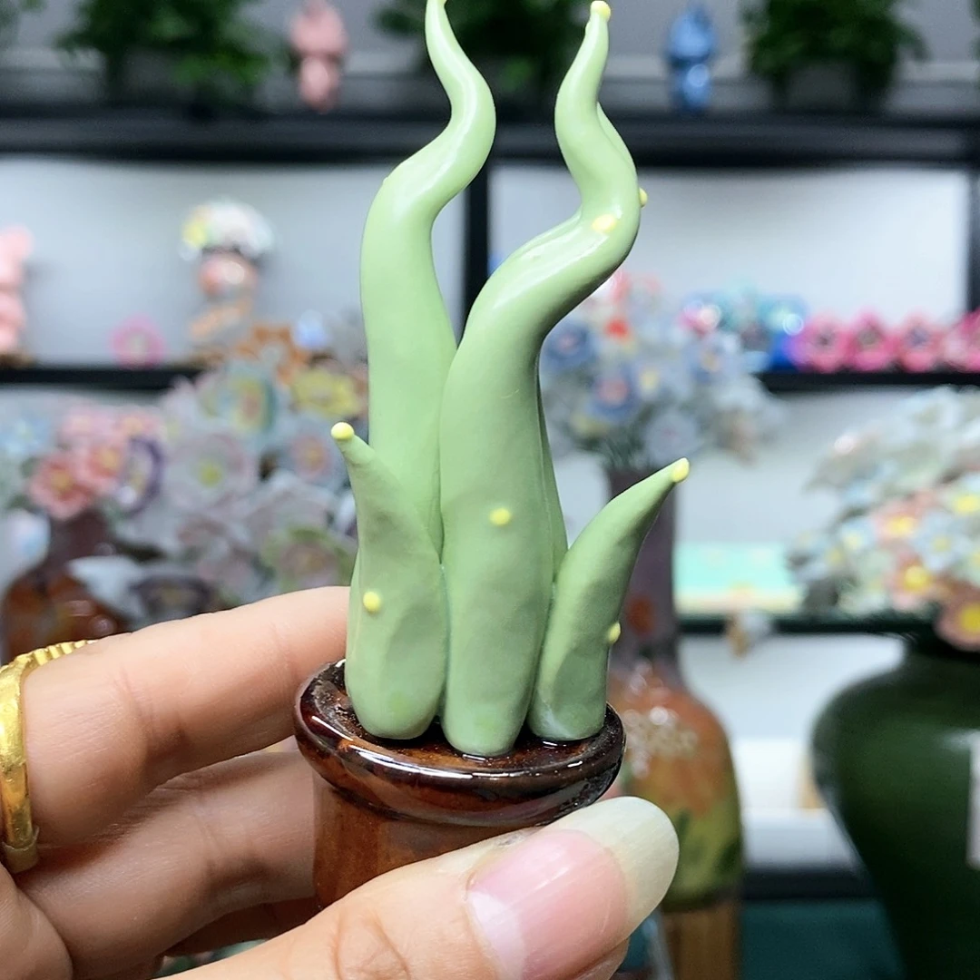 手工制作工艺品多肉肉