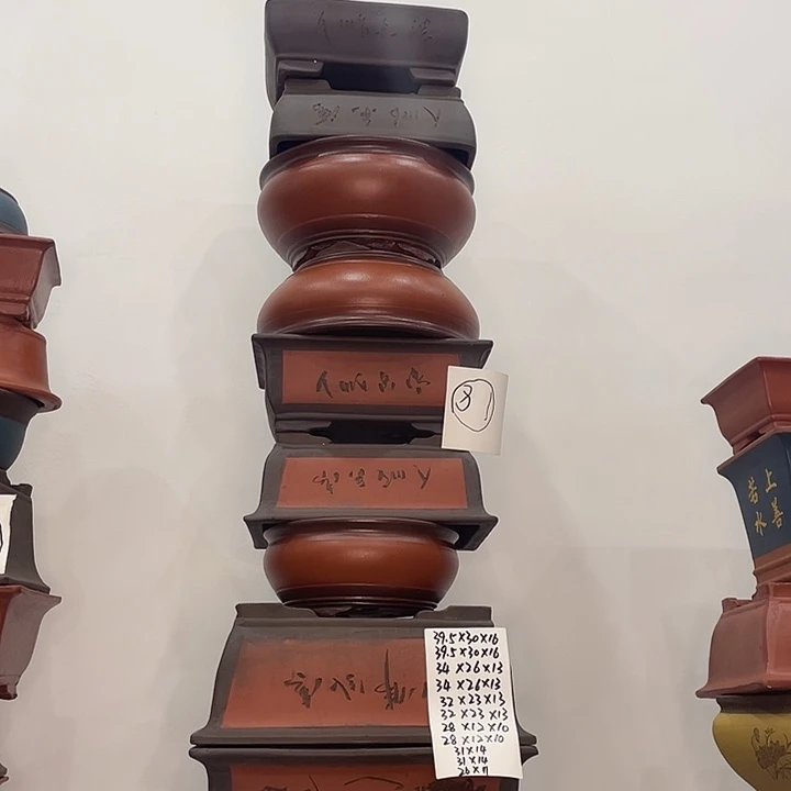 81一家漏家漏家漏