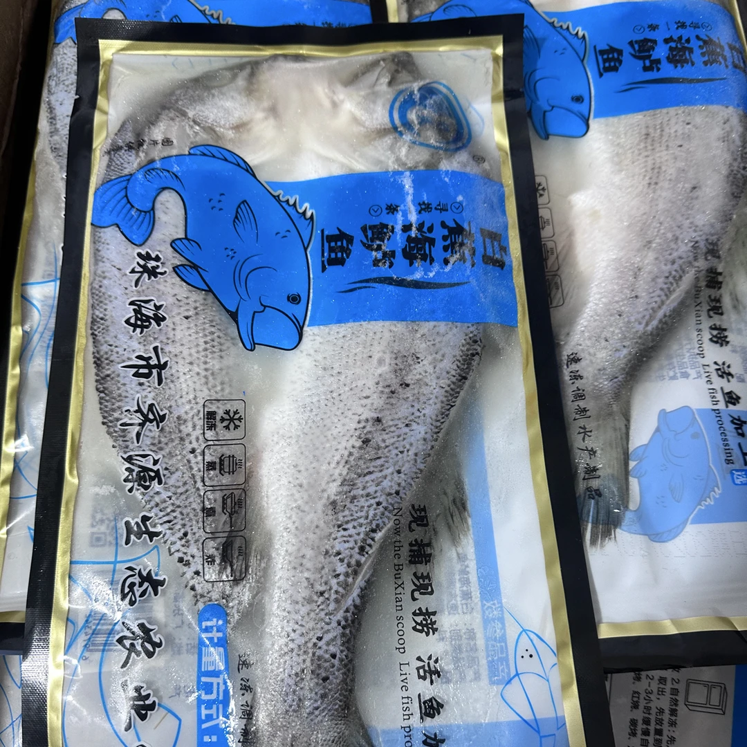 【海鲈鱼】白蕉海鲈鱼750g一袋一条大号海鲈鱼