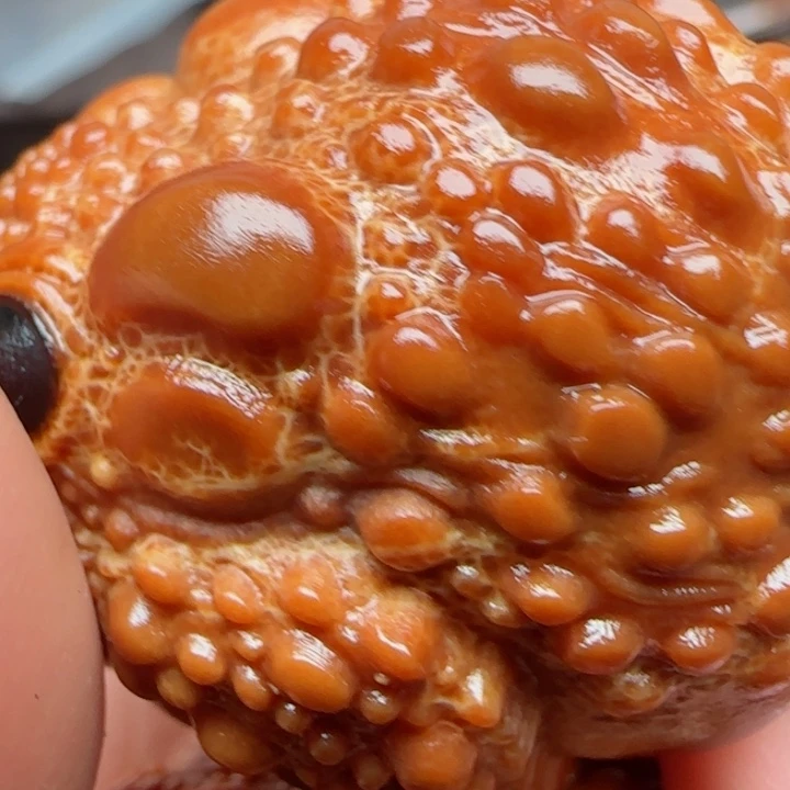 橄榄核手串橄榄菜等经济作物