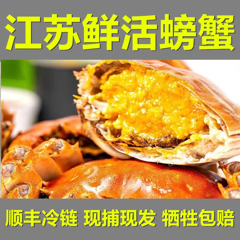 【活蟹】品知鲜鲜活螃蟹河蟹（全公蟹1.3-1.6两 ）8只