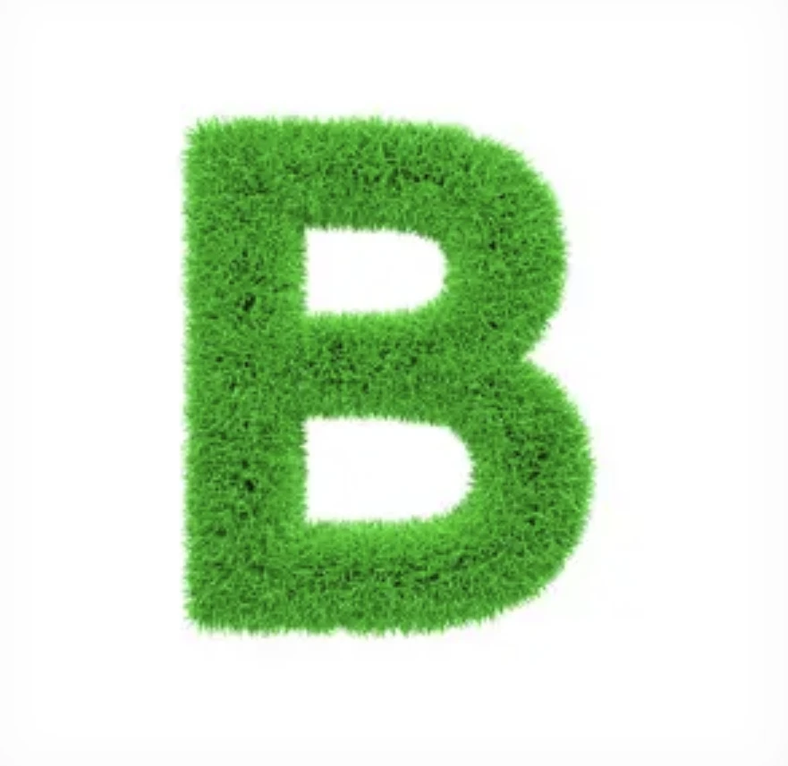 B区直播间胶带贴纸