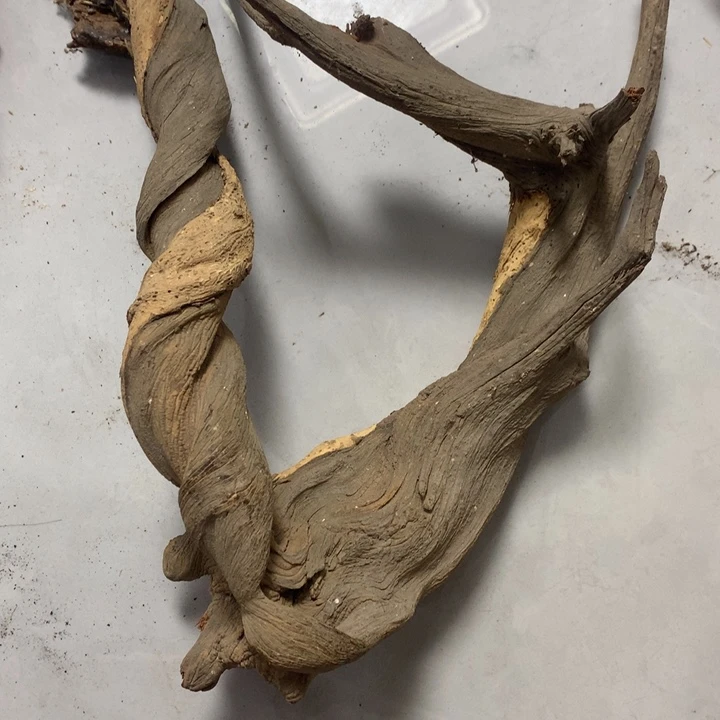 林***大无花朵今天晚上在学校吃饭