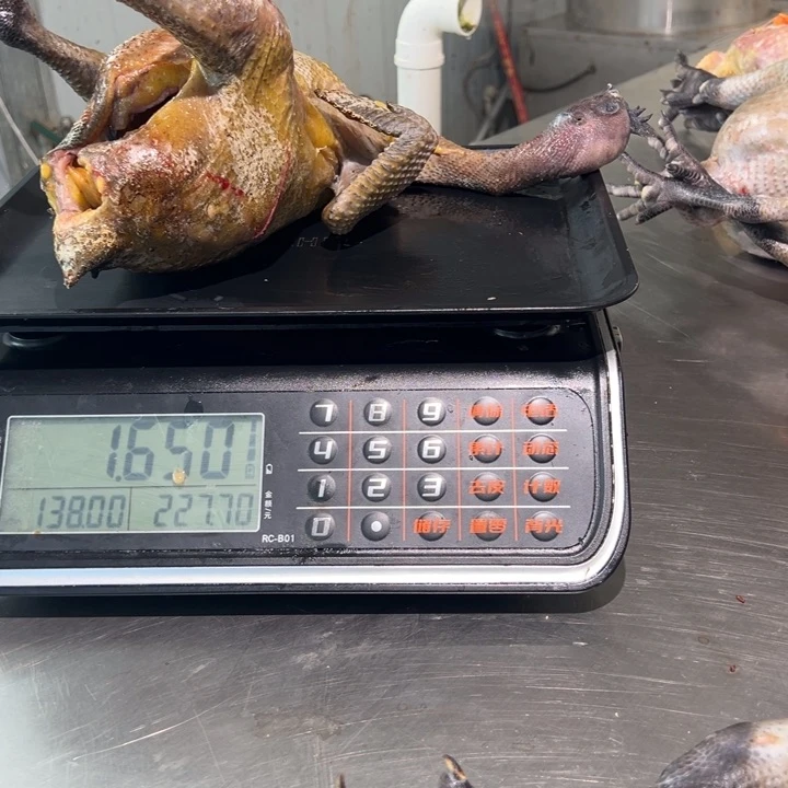 一号土鸡食用农产品中国大陆多*?
