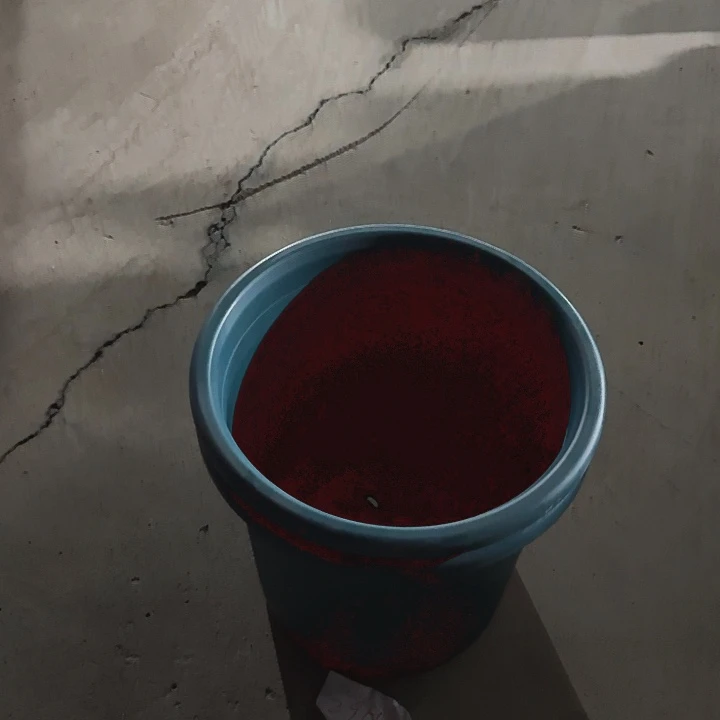 编号编号编号是2955