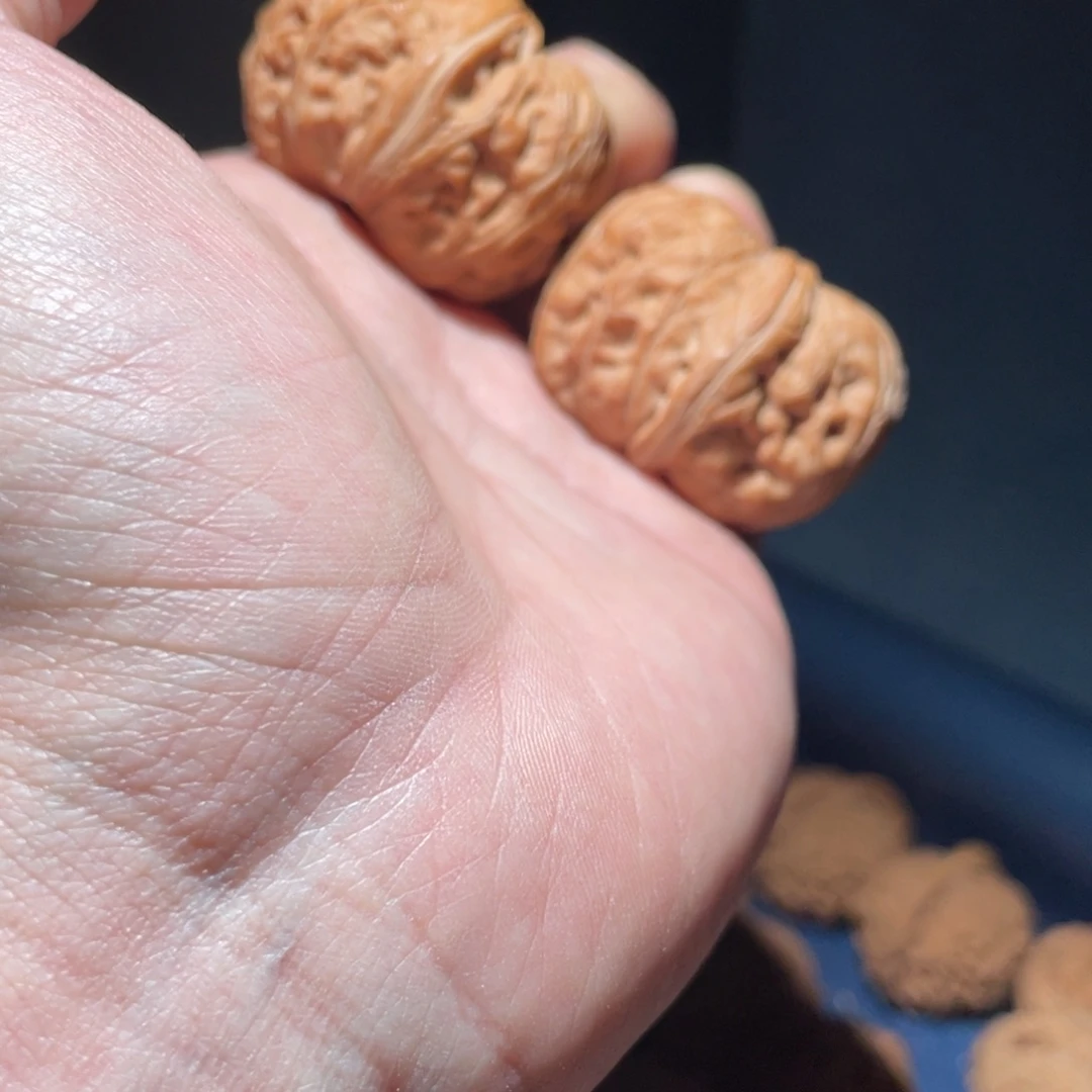 核桃手串/手链E****Y43元宝