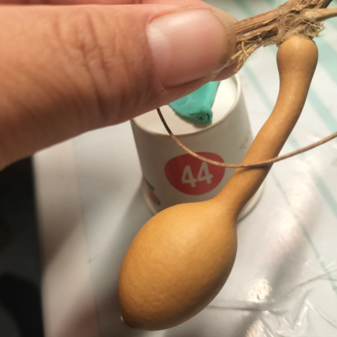 44号号天然带龙头手捻小葫芦文玩手把件摆件可盘玩