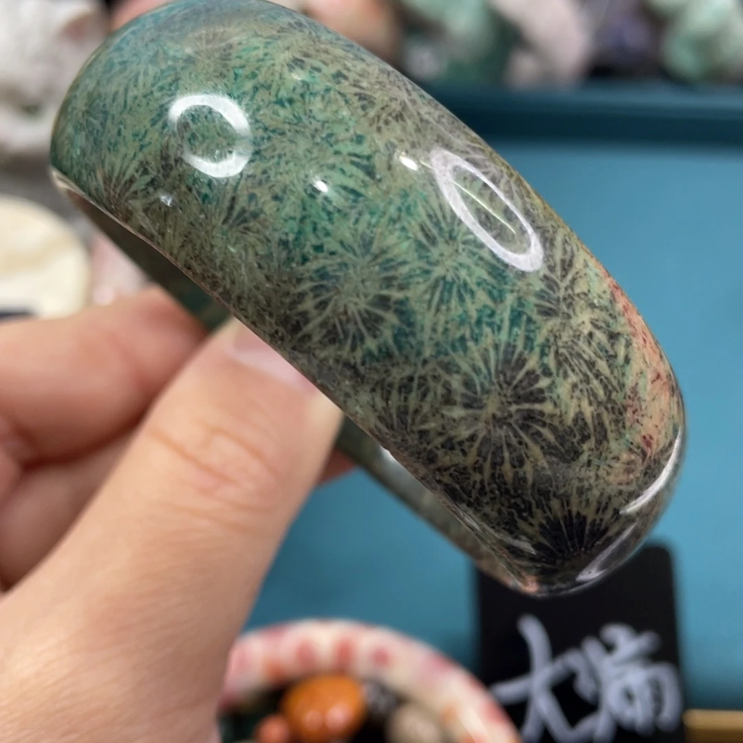 未镶嵌手镯硅化玉