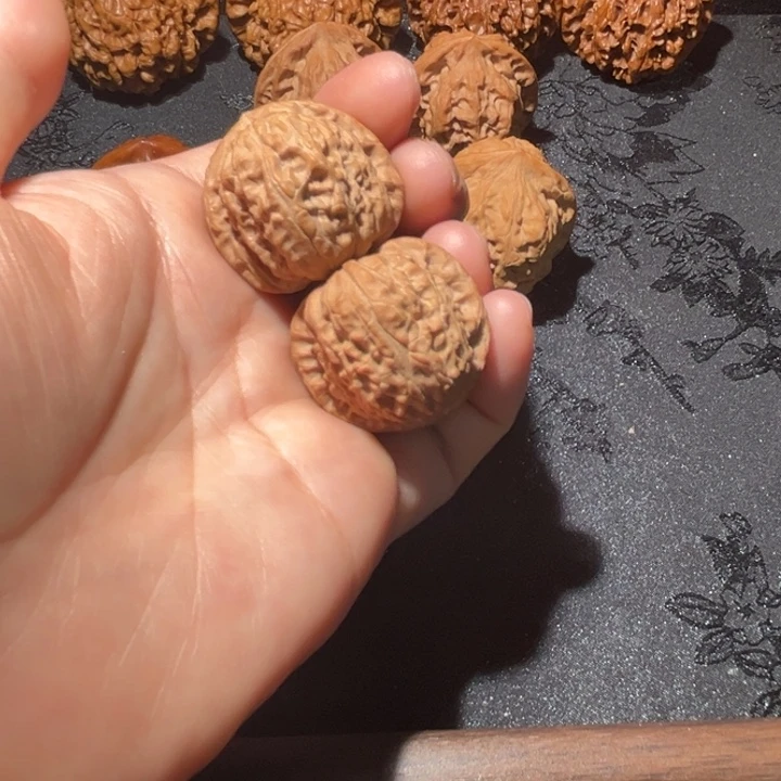 吊坠龙脊菩提白狮子