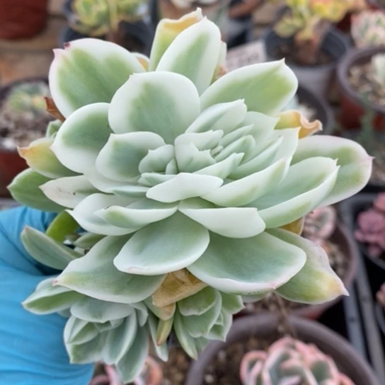 824一一一一一一一一一