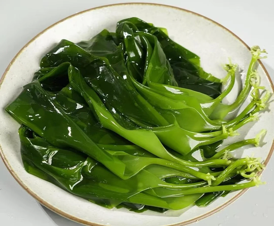 新鲜盐渍海带苗 嫩滑爽脆 可用于凉拌火锅食材