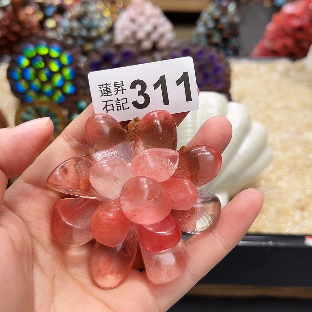 是***…核桃木/黑胡桃（胡桃木）311