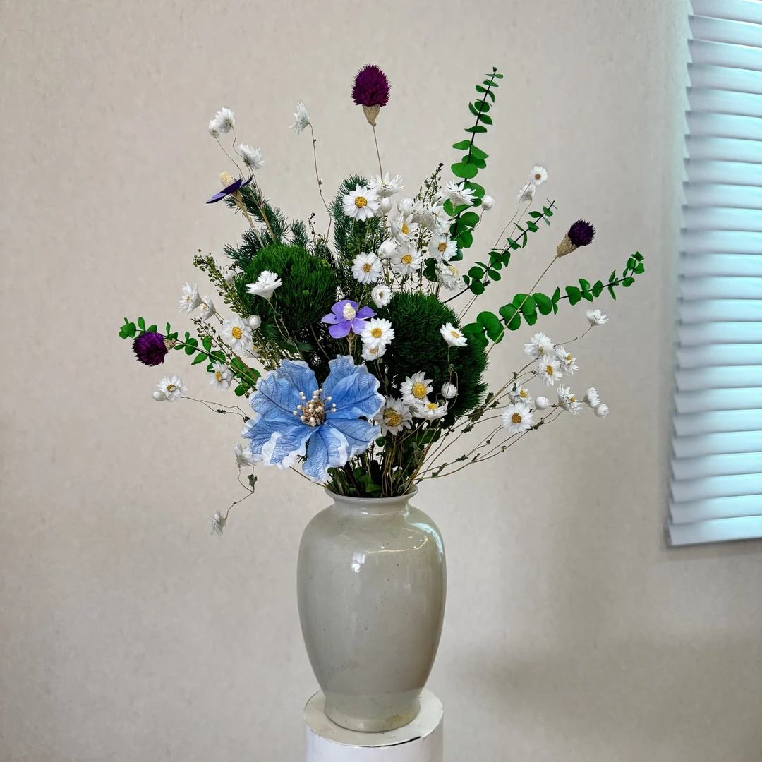 直播间宠粉福利【田园漫步】通草花干花永生花带瓶带花