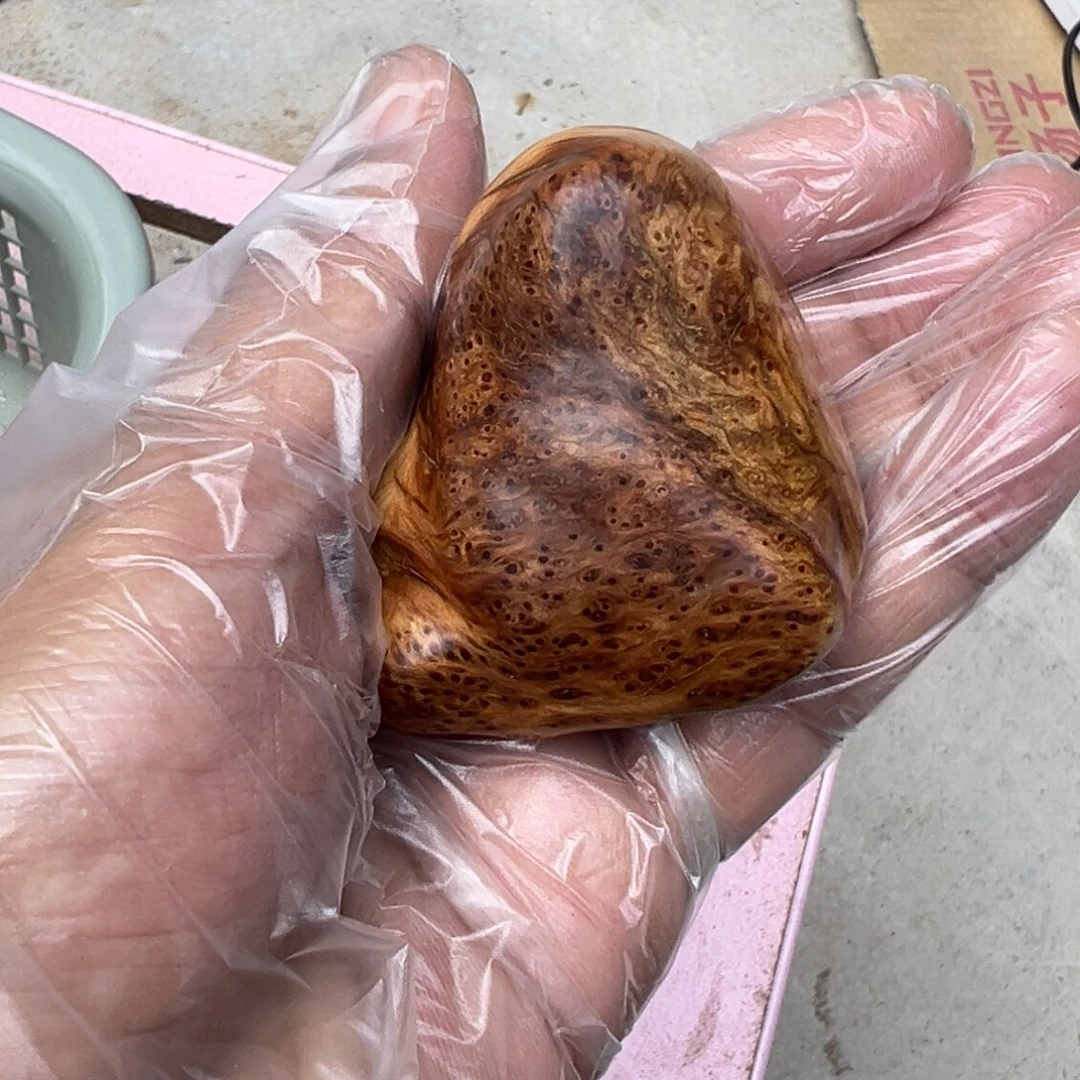 柏木（崖柏）旧*话太行陈化瘤爆蜜