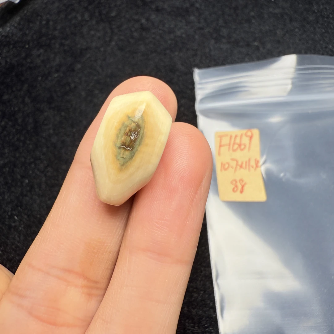 F1669猛犸象牙蓝皮鲨鱼背三通尺寸10.7*11.4蓝眼睛鲨鱼背三通