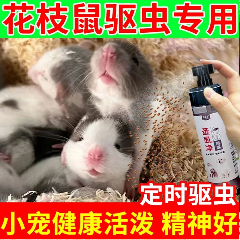 花枝鼠专用驱虫喷雾花枝鼠体外驱虫剂花枝鼠驱虫除臭喷雾驱虫喷剂