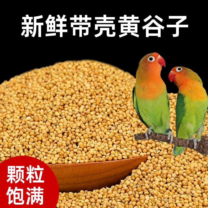 鸟粮饲料鸟食玄凤牡丹食物虎皮大罐新黄谷子带壳虎皮鹦鹉鸟粮