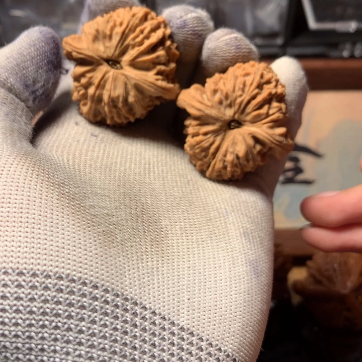 *****哈哈哈哈哈哈哈哈哈