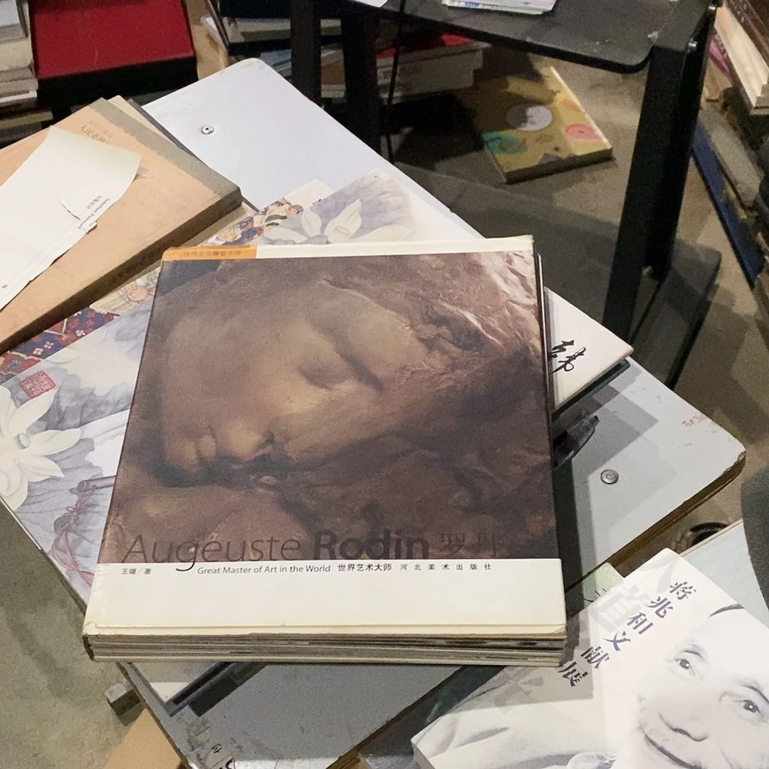 罗丹世界艺术大师，河北美术