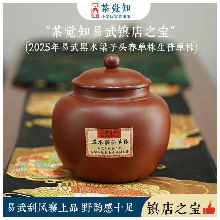 茶觉知 [镇店之宝]2025年/易武稀有黑水梁子头春单株古树生普洱茶