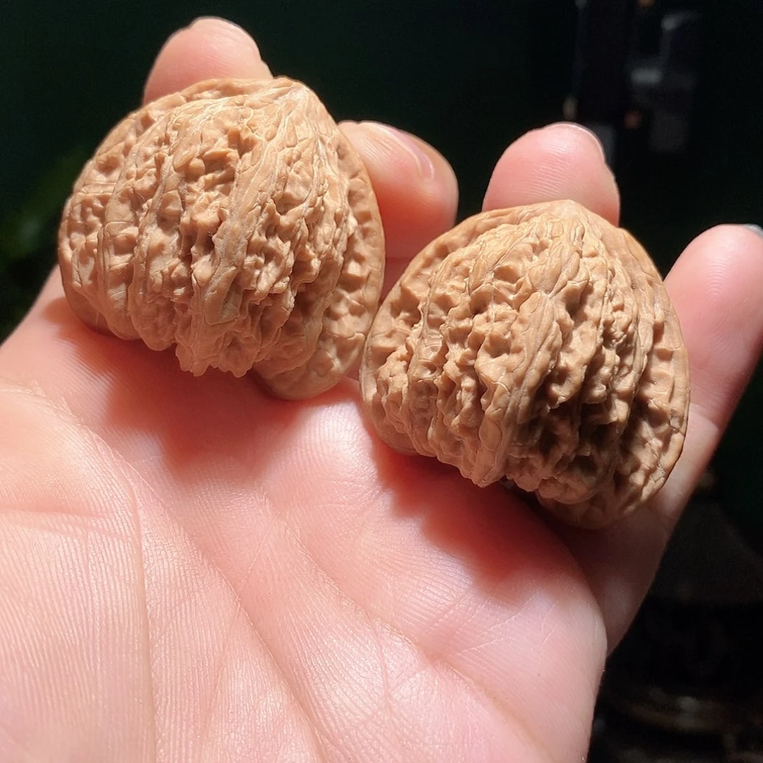 把件文玩核桃40密纹全品