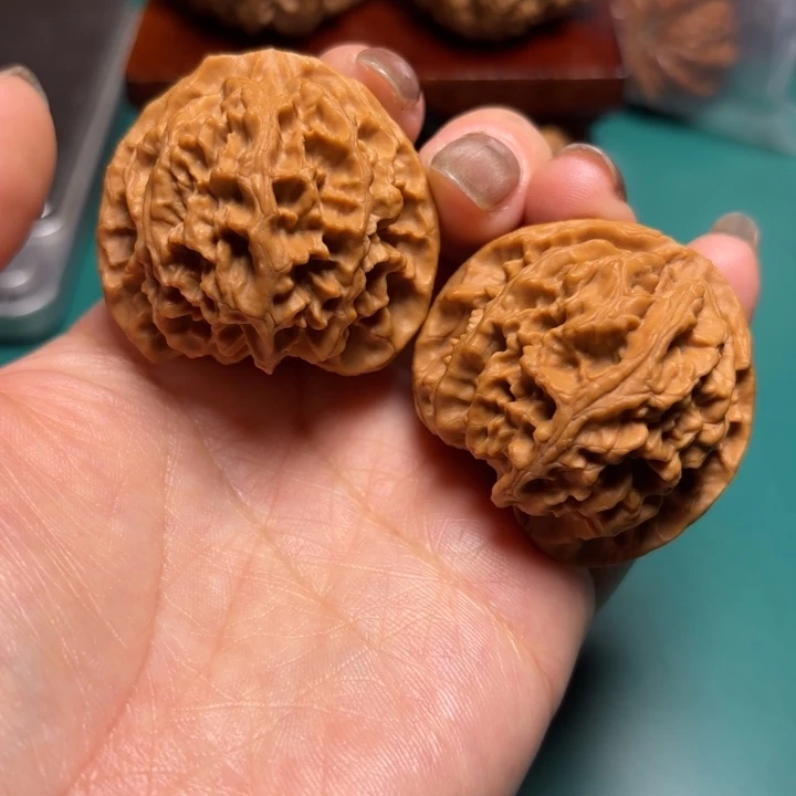 核桃41尺寸苹果园