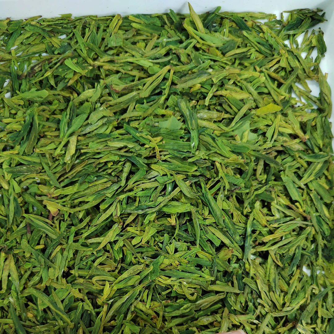 明前高山小芽龙井200款