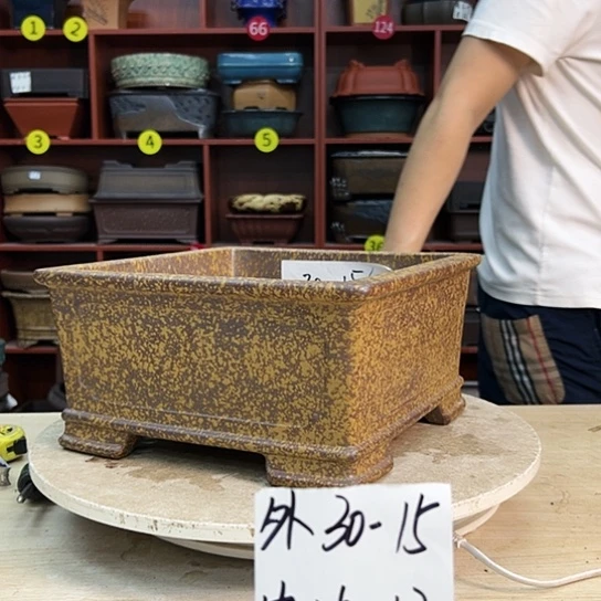 用****9紫砂花盆中放一盆凉水喝