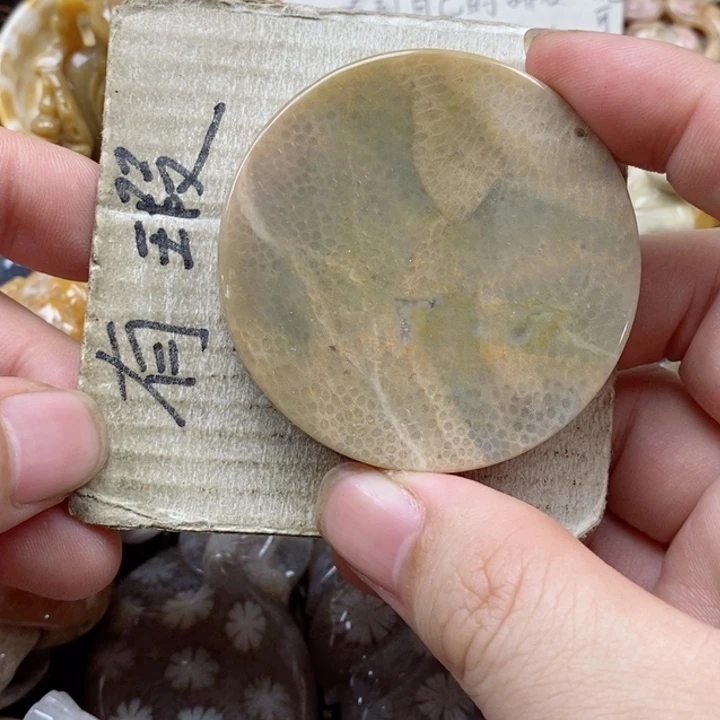 颈饰未镶嵌硅化珊瑚（珊瑚玉）灯**珊