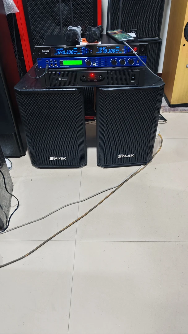 9新  不包运费12寸专业音箱+大功率后级功放+x5效果器话筒一套