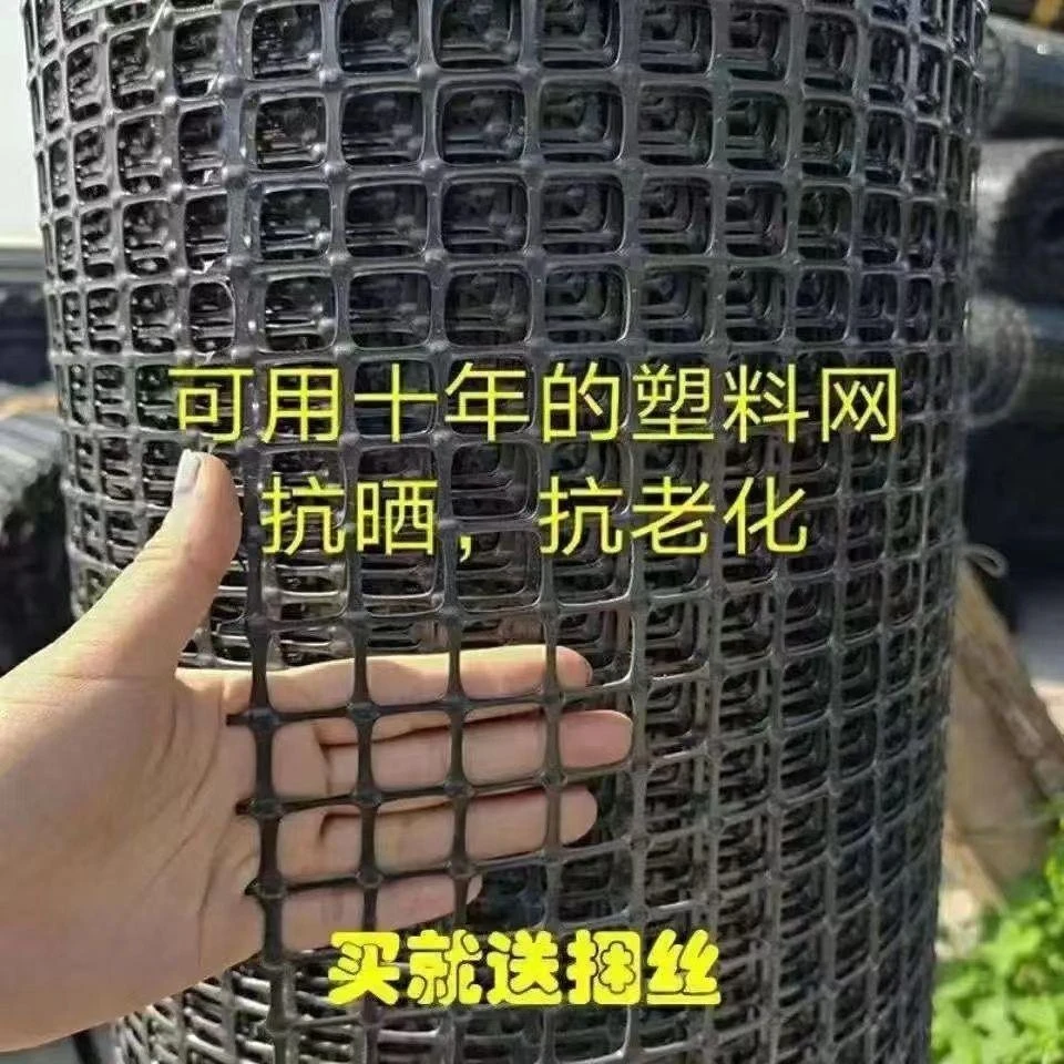 养殖网玉米网塑料网塑料围栏网养鸡网果园围栏防护网特厚新款鸡网