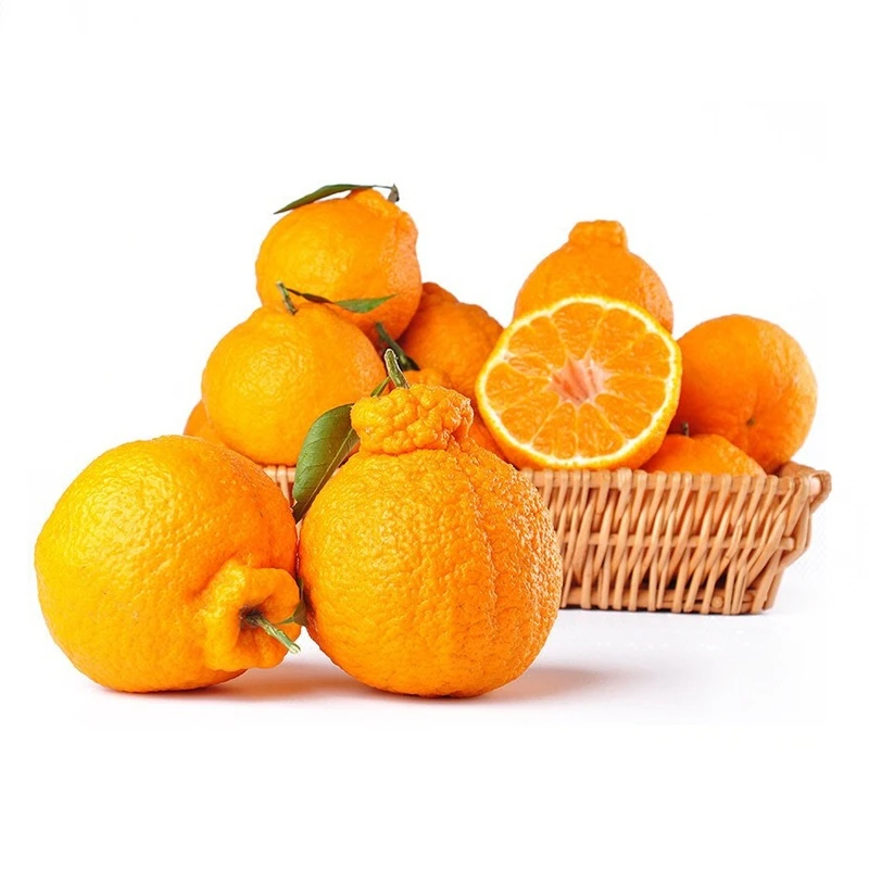 四川不知火丑柑 约2kg