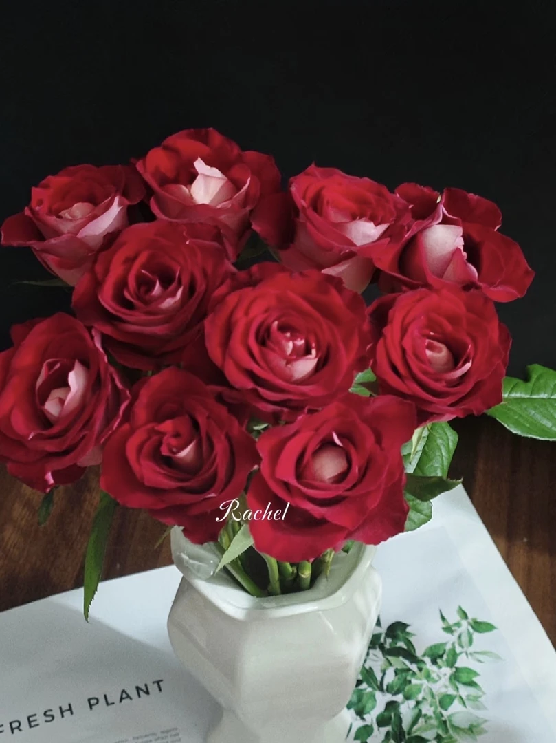 【锦上花舍】单头玫瑰冰上芭蕾一单顺丰冷链/偏远地区德邦空运