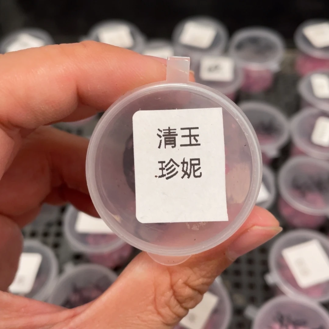 清玉珍妮20粒，正价36.8，新品推荐！！