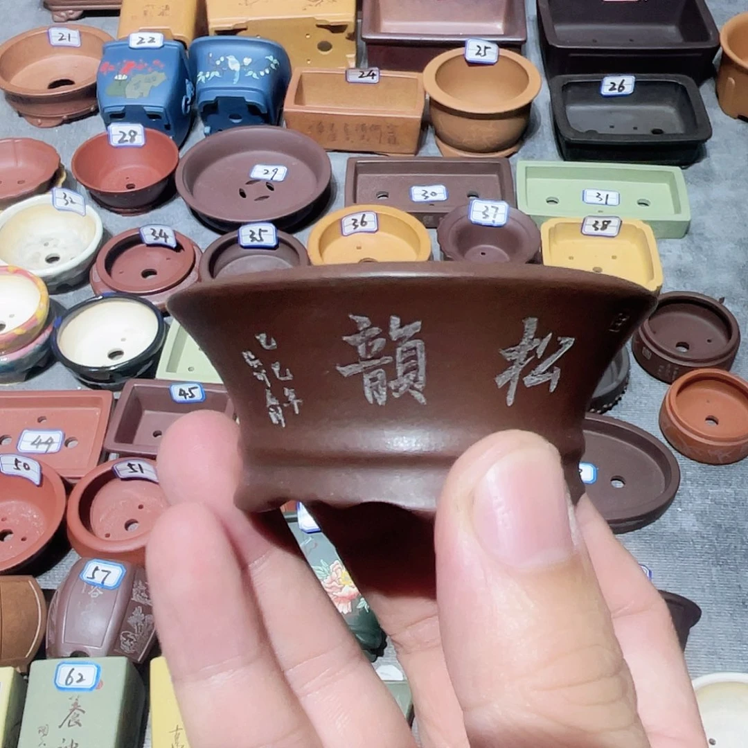 紫砂小盆5.5*2.5cmmmmm